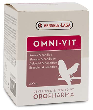 omni-vit